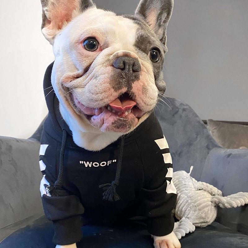 “Woof” Hoodie