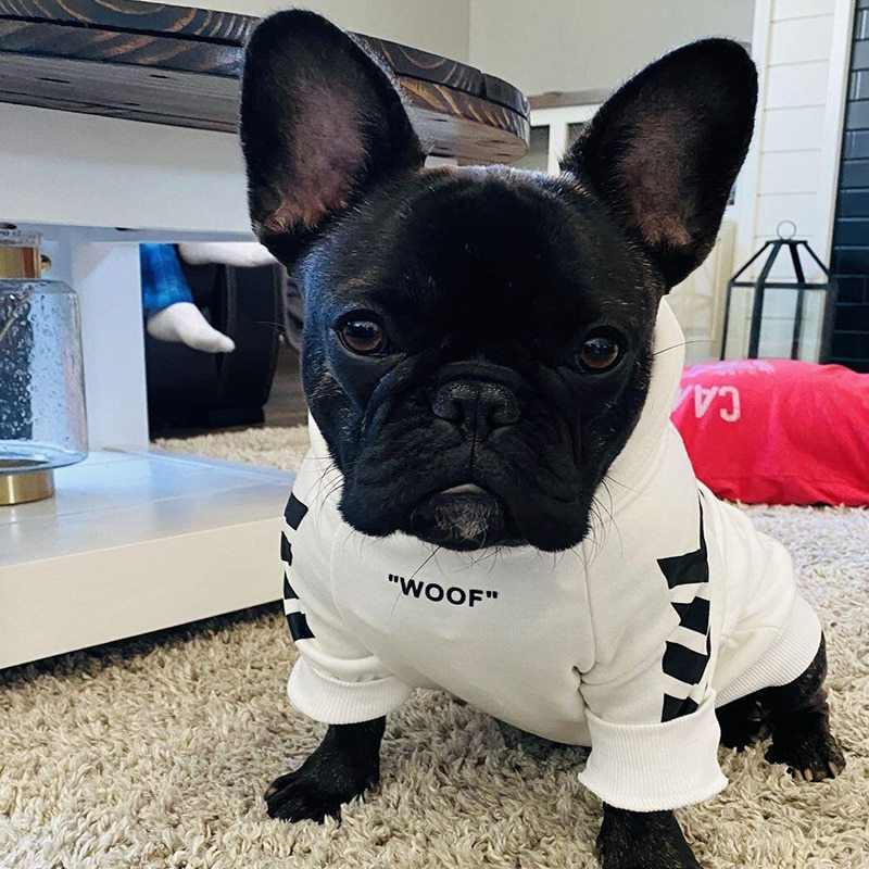 “Woof” Hoodie