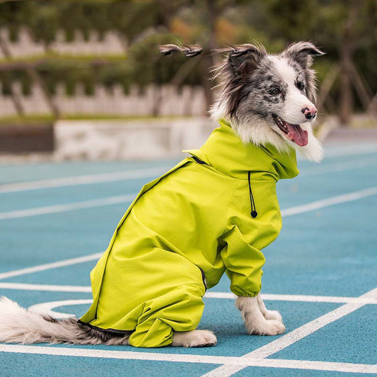 Head to Paw Rain Coat