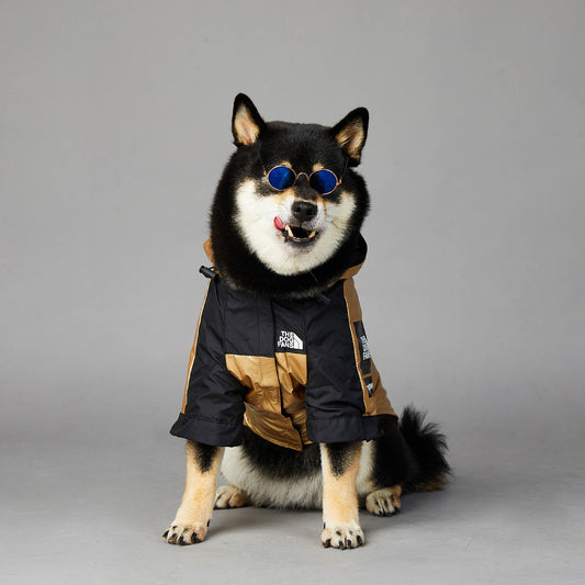 The Dog Fans Jacket Gold Edition